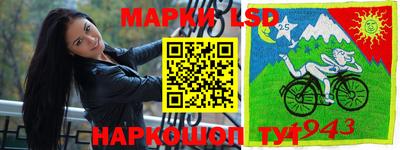 хмурый Сланцы
