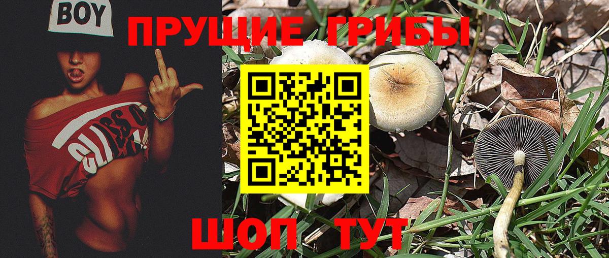 цены   Вход с VPN  Рыбинск  Галлюциногенные грибы мухоморы  Псилоцибиновые грибы MAGIC MUSHROOMS 