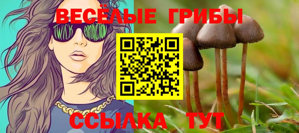 Псилоцибиновые грибы Magic Shrooms Рыбинск